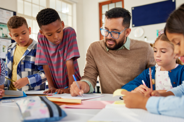 As recentes mudanças na LDB, analisadas por Sérgio Bento De Araújo, revelam como a carreira docente passa a pressionar cada vez mais os orçamentos educacionais.