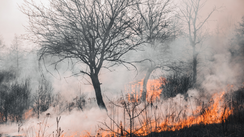 Amazônia registra menor área queimada em 41 anos e puxa queda do fogo no país