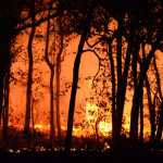 Amazônia registra menor área queimada em 41 anos e puxa queda do fogo no país